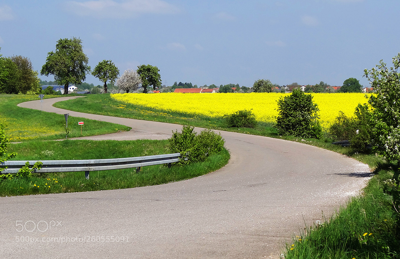 Sony Cyber-shot DSC-HX100V sample photo. ... spring drives .... photography