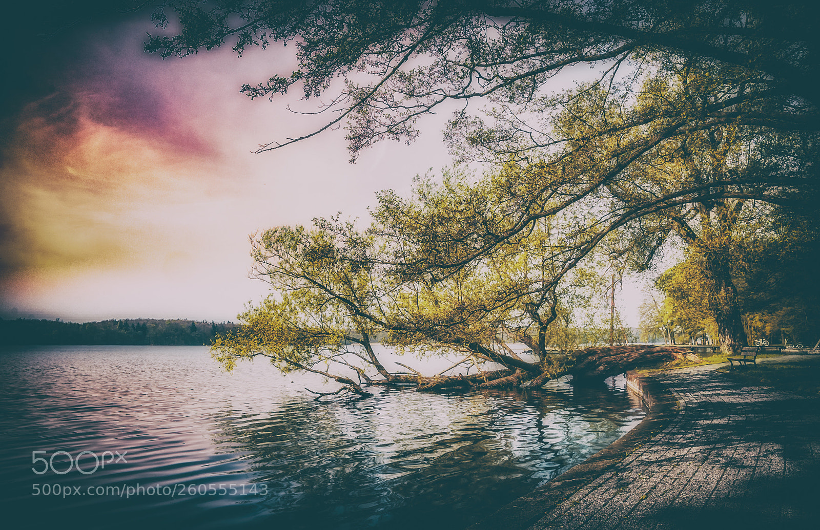 Nikon D300S sample photo. Touching the lake photography