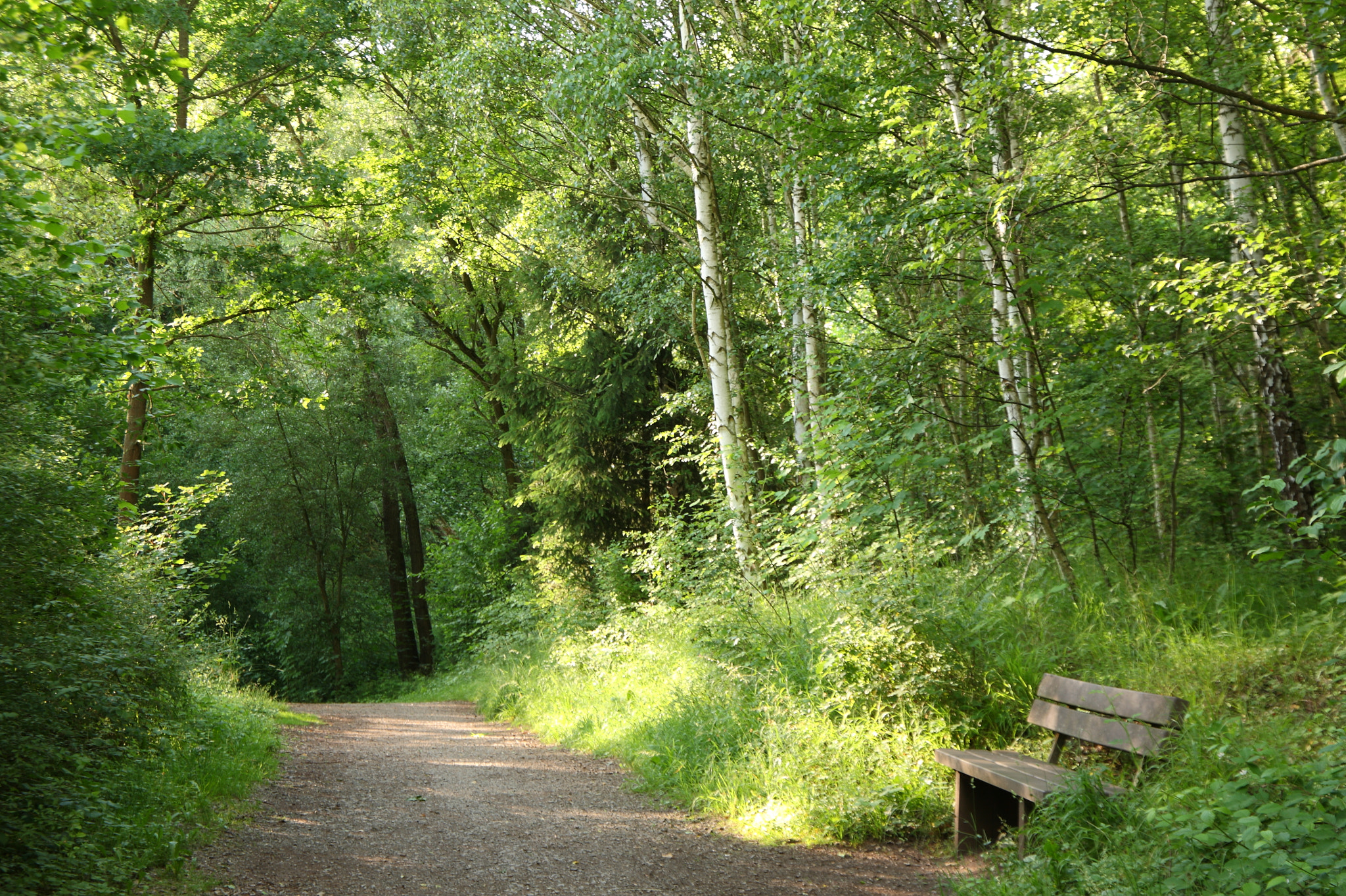 Canon EOS 5D sample photo. Walkway with bench photography