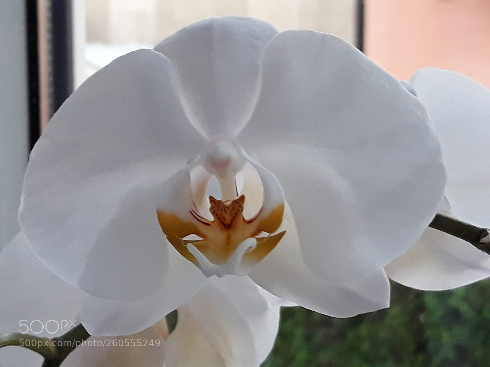 Samsung Galaxy J7 sample photo. Untitled photography