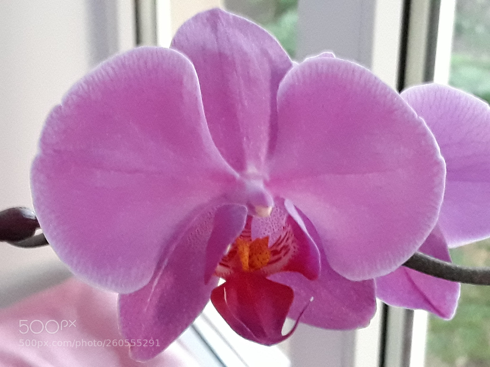 Samsung Galaxy J7 sample photo. Untitled photography