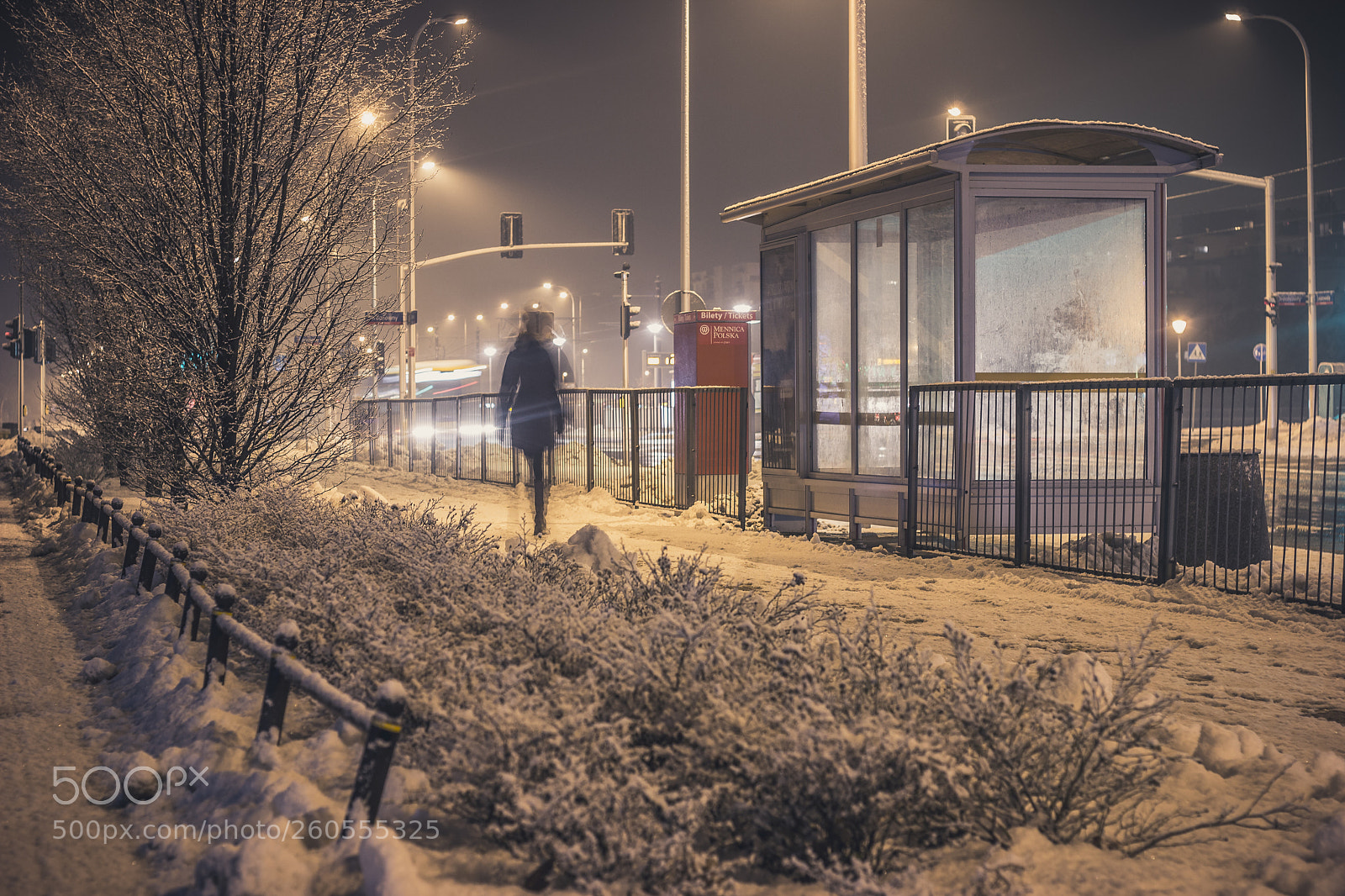 Canon EOS 60D sample photo. Night and snow photography