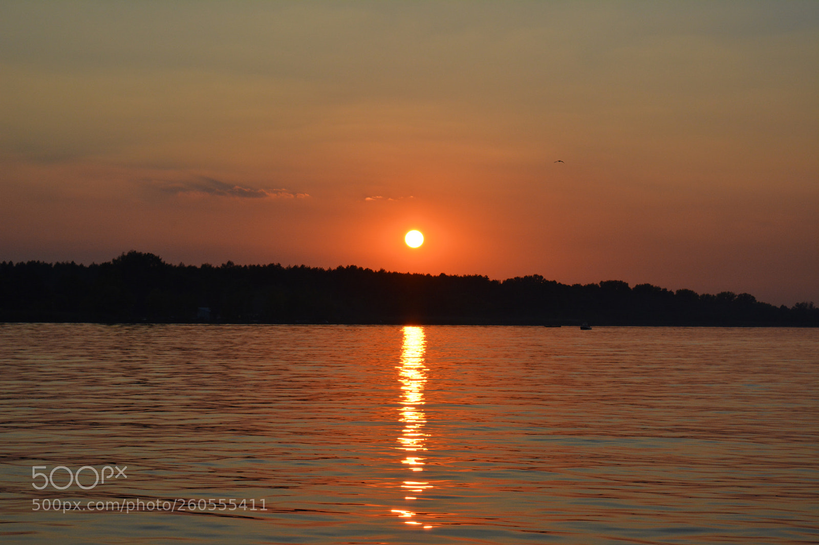 Nikon D5200 sample photo. Colors photography