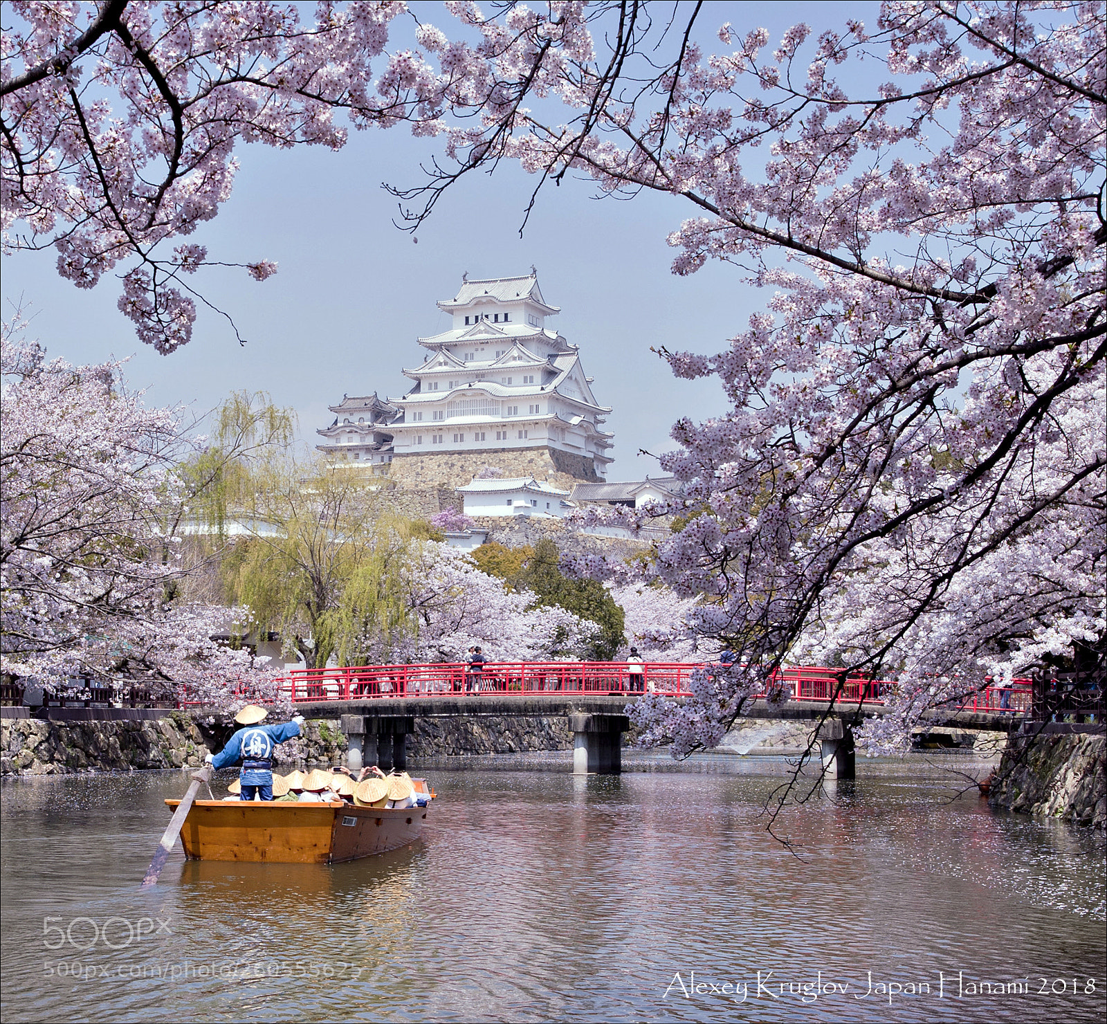 Nikon D700 sample photo. Hanami photography
