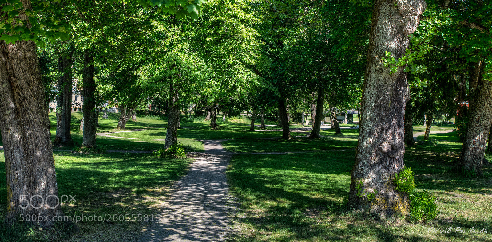 Nikon D850 sample photo. Footpath photography