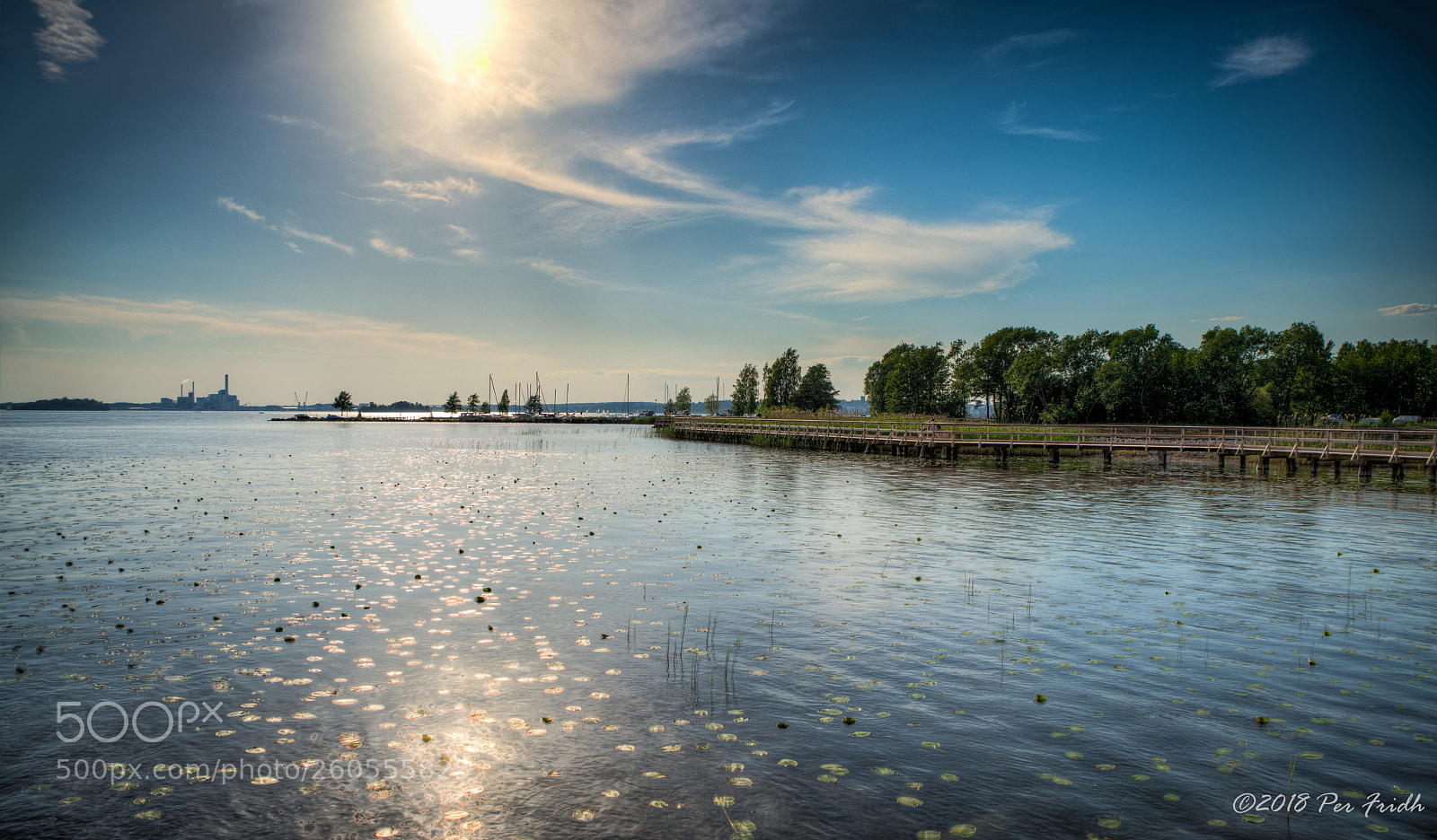 Nikon D850 sample photo. Sunny day photography