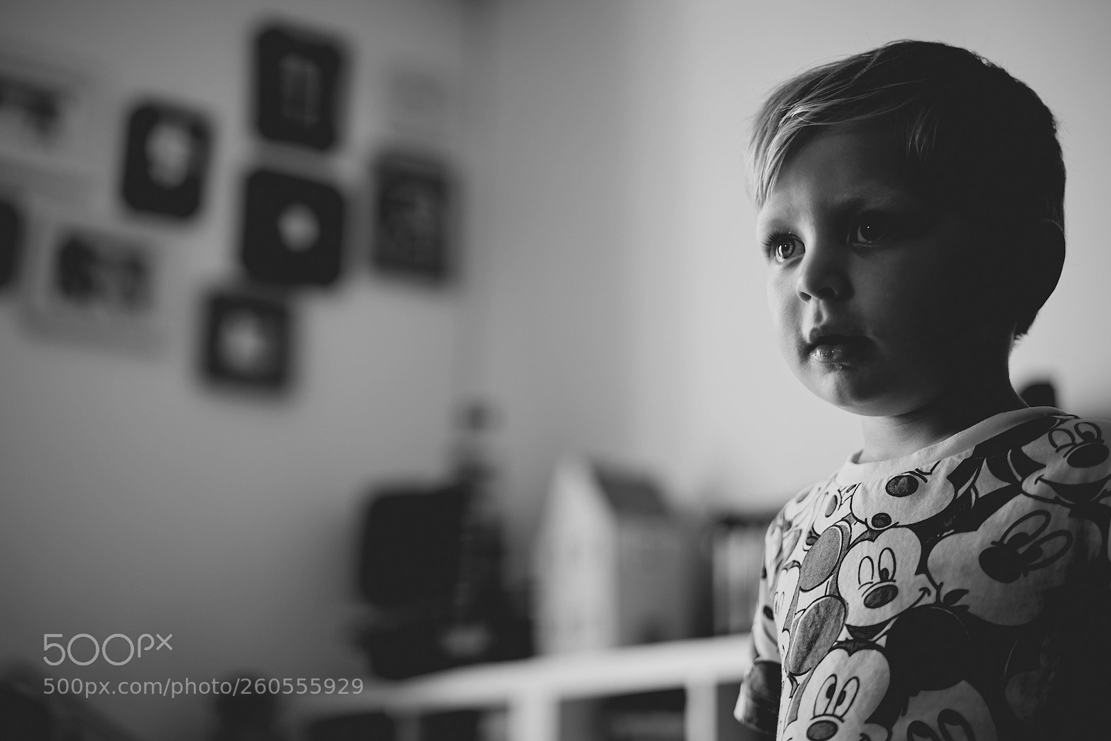 Sony a7R III sample photo. Day one hundred fifty photography