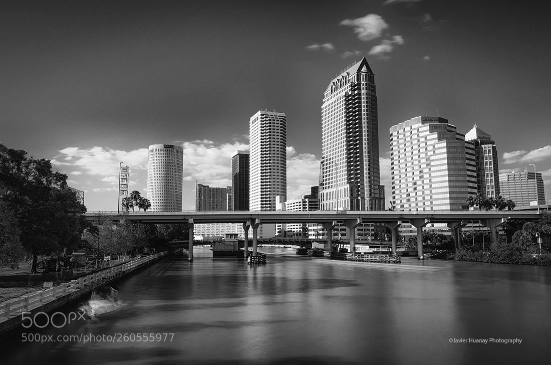Nikon D800 sample photo. Tampa-florida photography