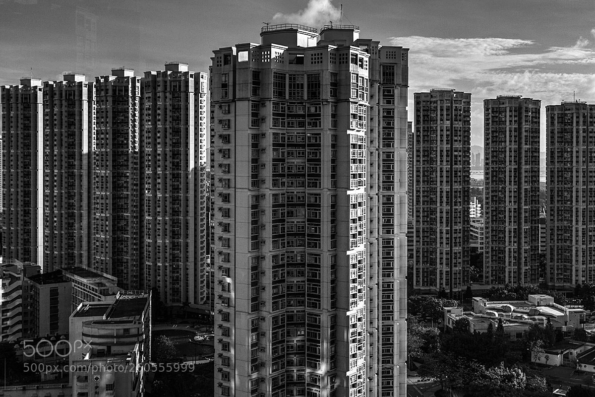 Canon EOS 650D (EOS Rebel T4i / EOS Kiss X6i) sample photo. Overpopulation photography
