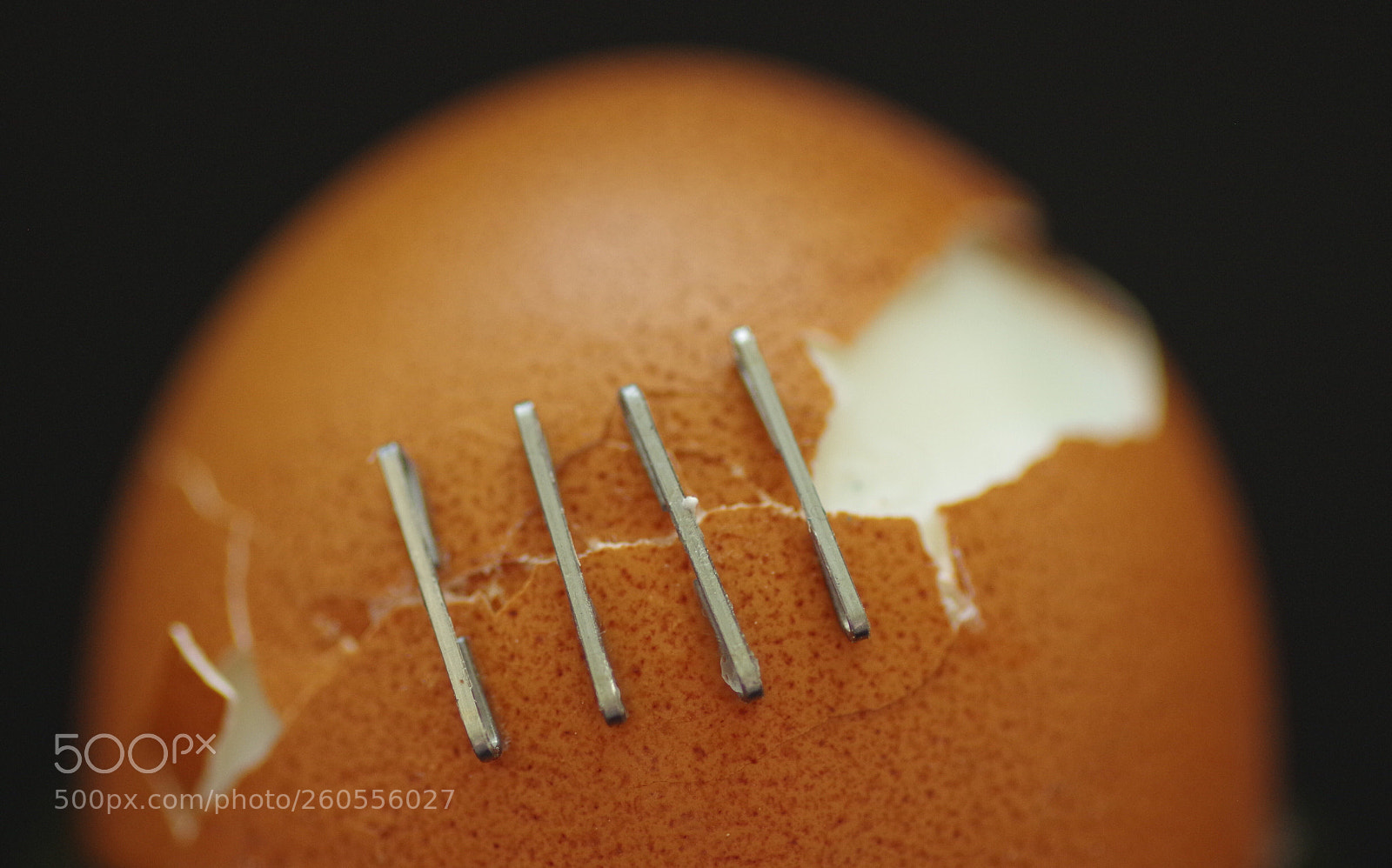 Pentax K-30 sample photo. Egg and staples  photography