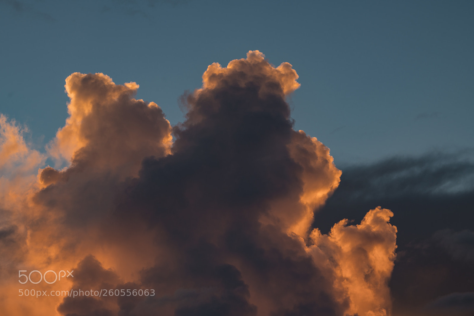 Sony a7R II sample photo. Mauritius photography
