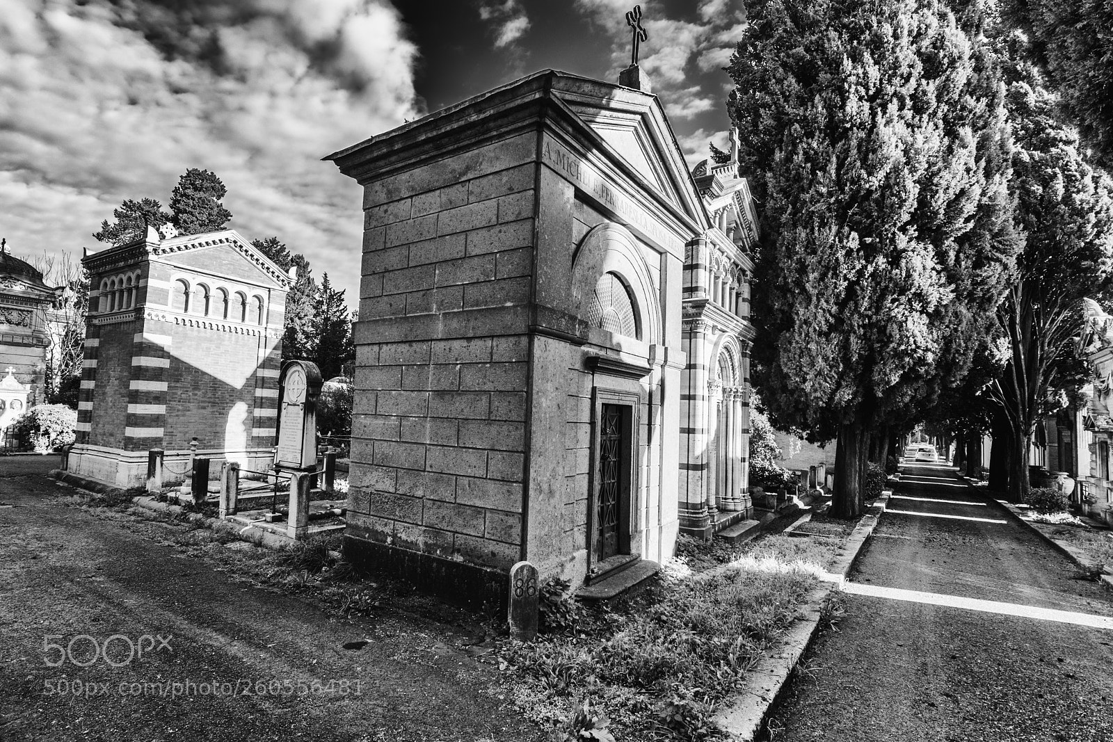 Nikon D5300 sample photo. Resting place photography