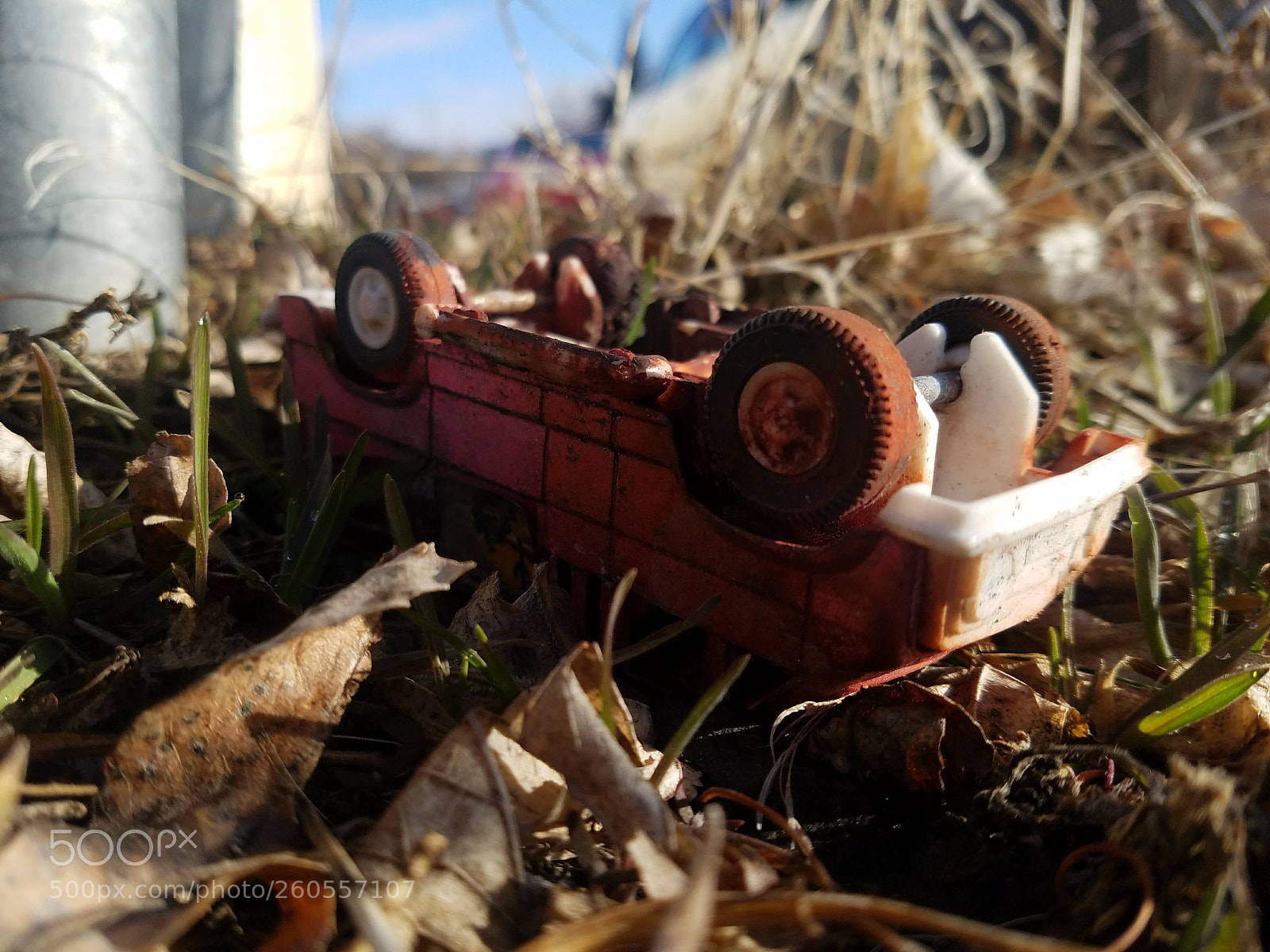 Samsung Galaxy S7 Edge sample photo. Untitled photography