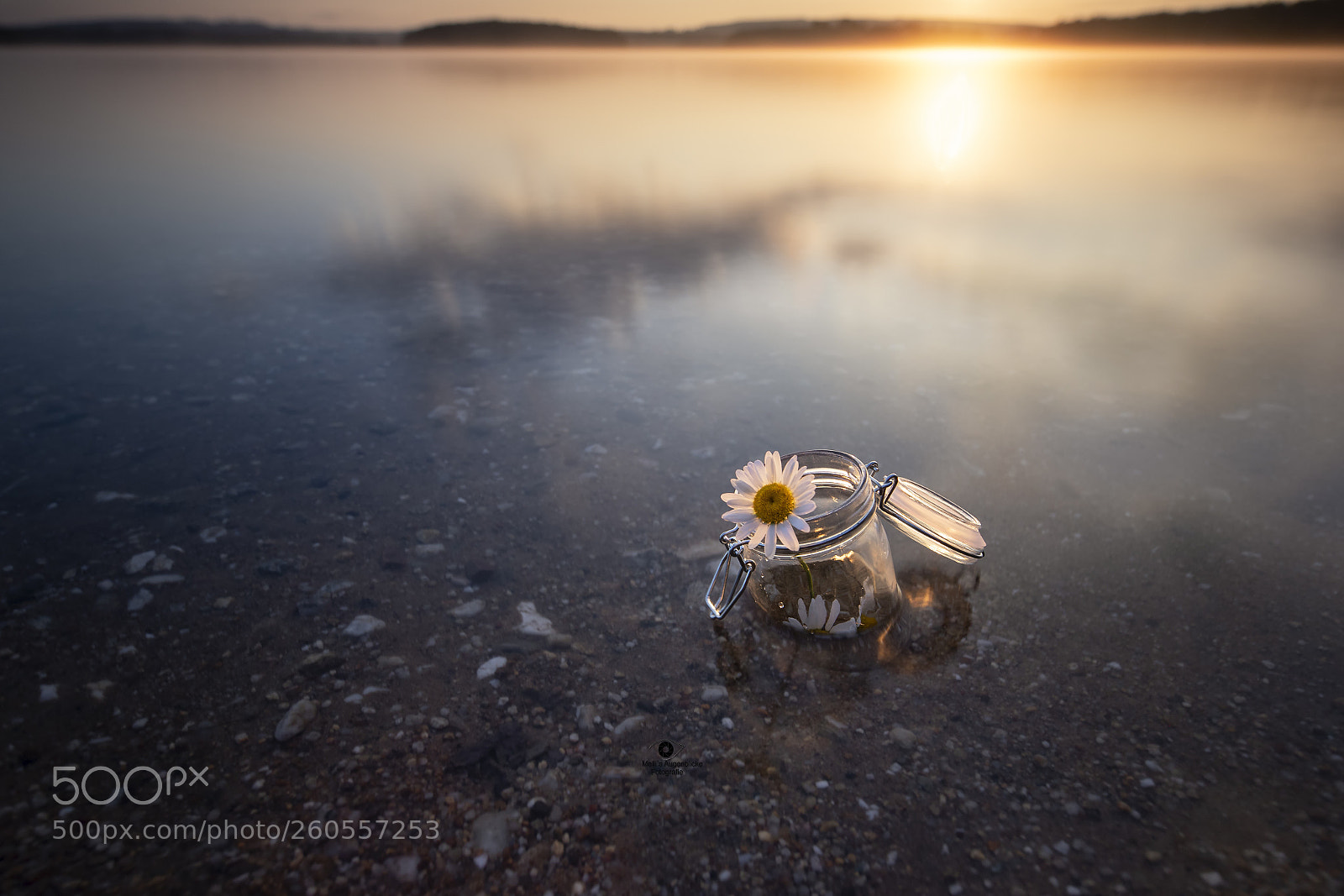 Canon EOS 7D Mark II sample photo. In the morning light photography