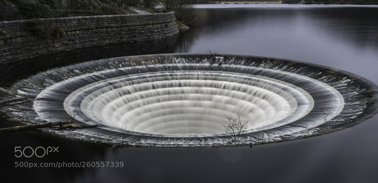 Nikon D750 sample photo. Untitled photography