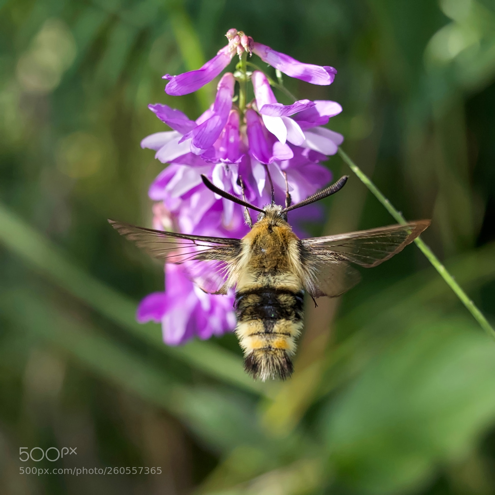Canon EOS 6D sample photo. Img photography