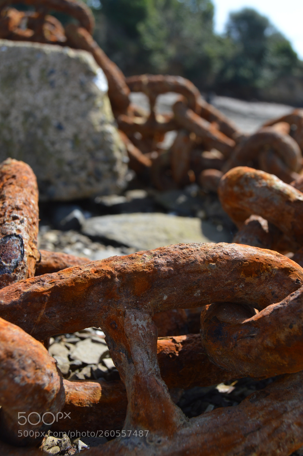 Nikon D3200 sample photo. Temps passé photography
