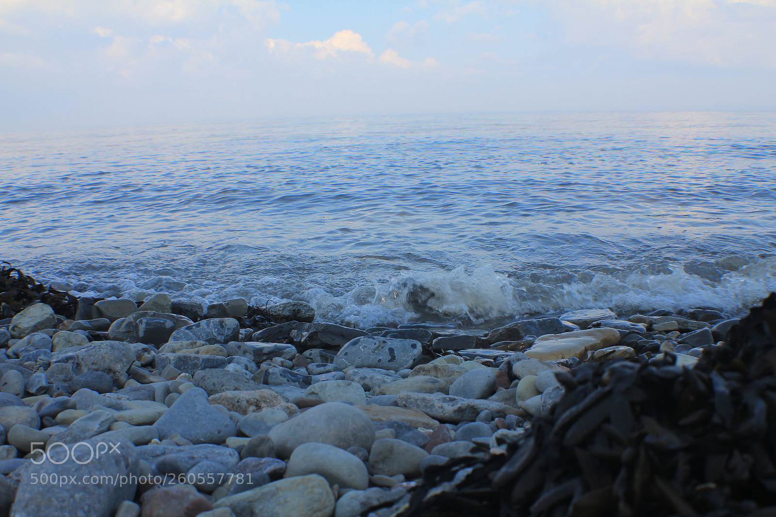 Canon EF-S 18-55mm F3.5-5.6 IS sample photo. Img photography