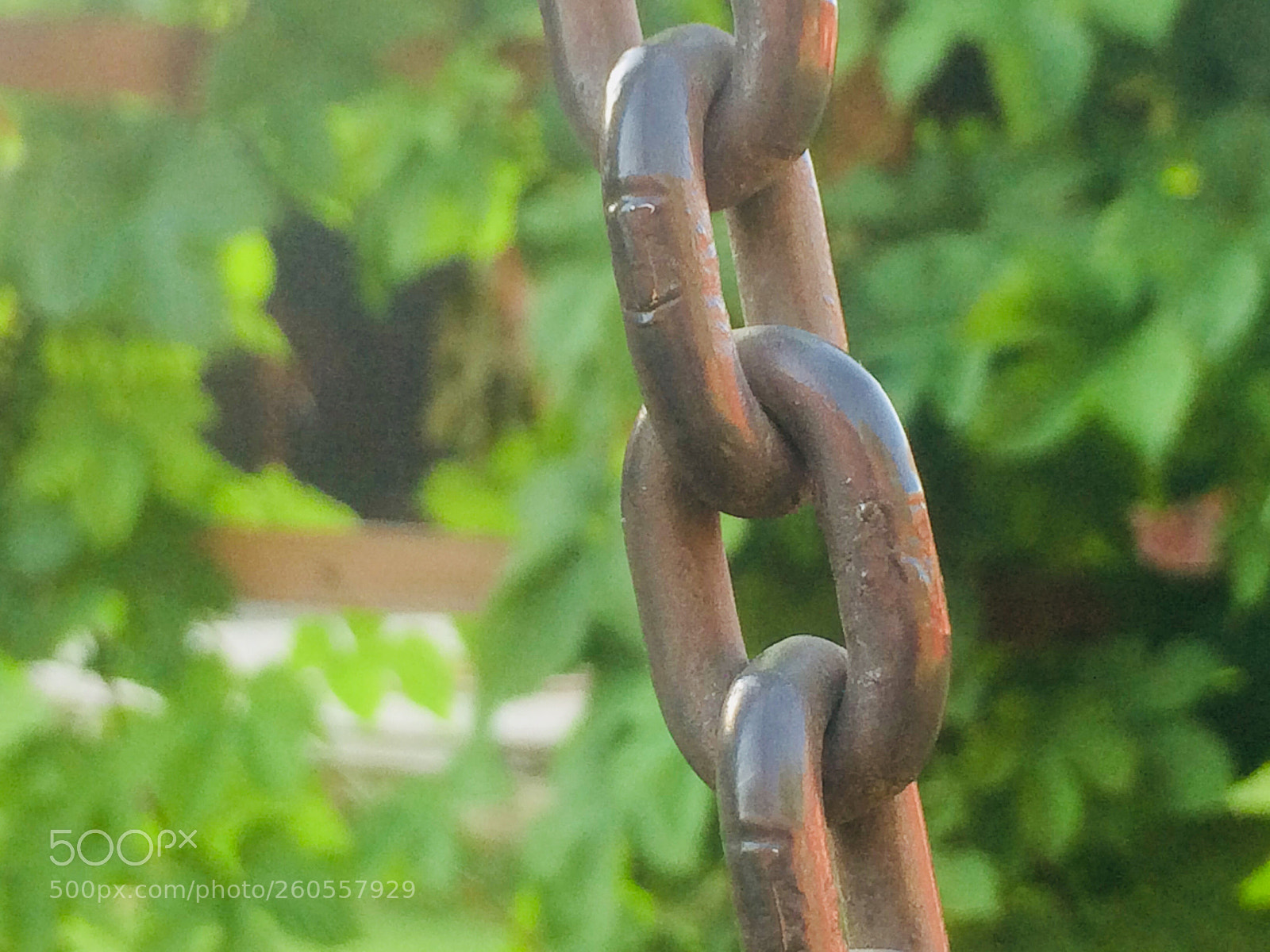Apple iPhone 5s sample photo. Nature photography
