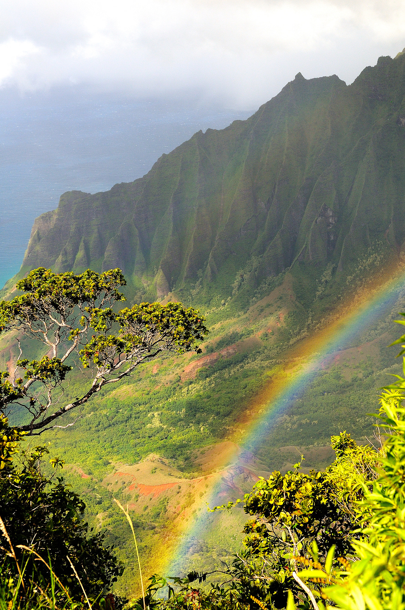 Nikon D300 + Nikon AF-S Nikkor 24-70mm F2.8G ED sample photo. A rainbow on kalalau valley kauai hawaii photography