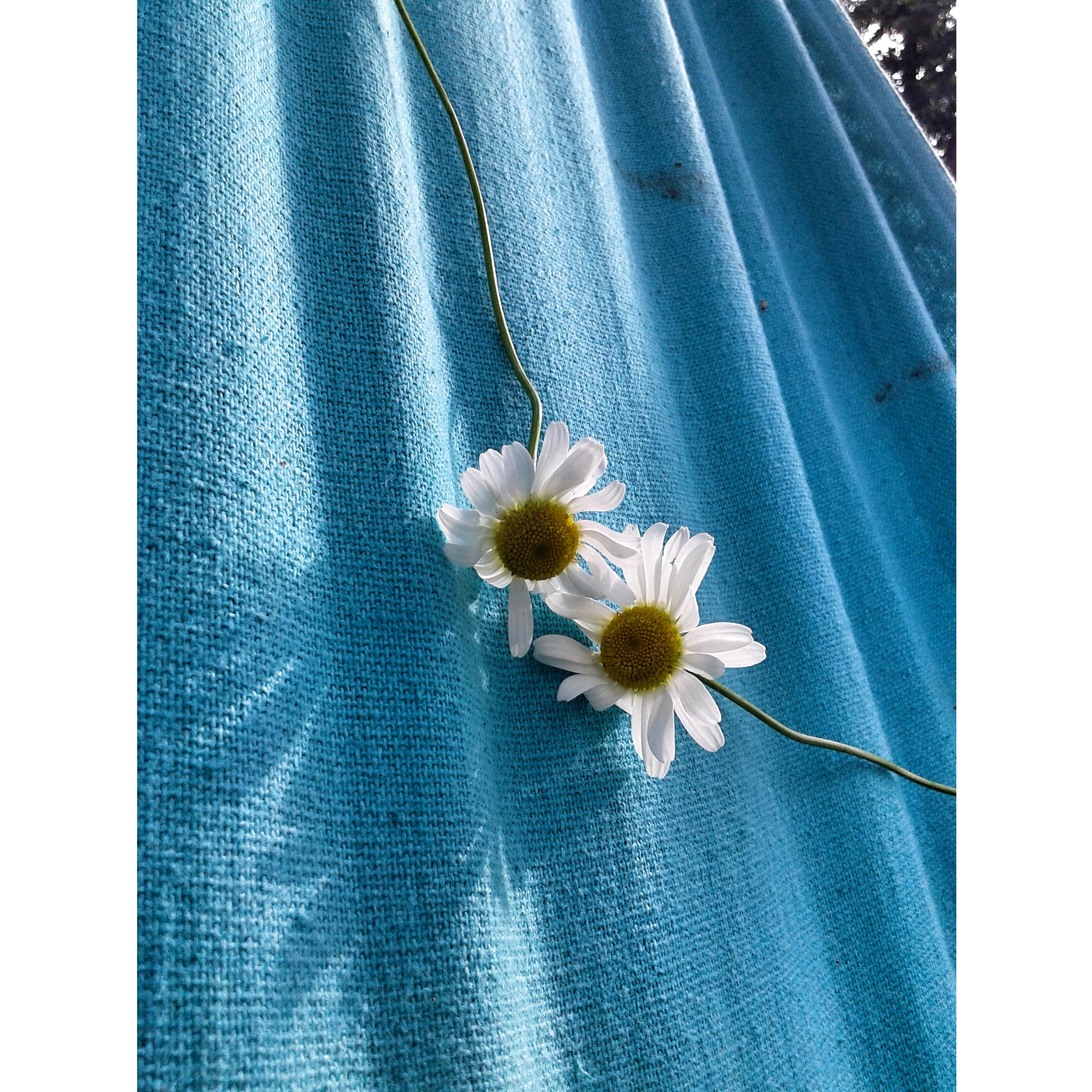 Samsung Galaxy Core sample photo. Love ♥ photography