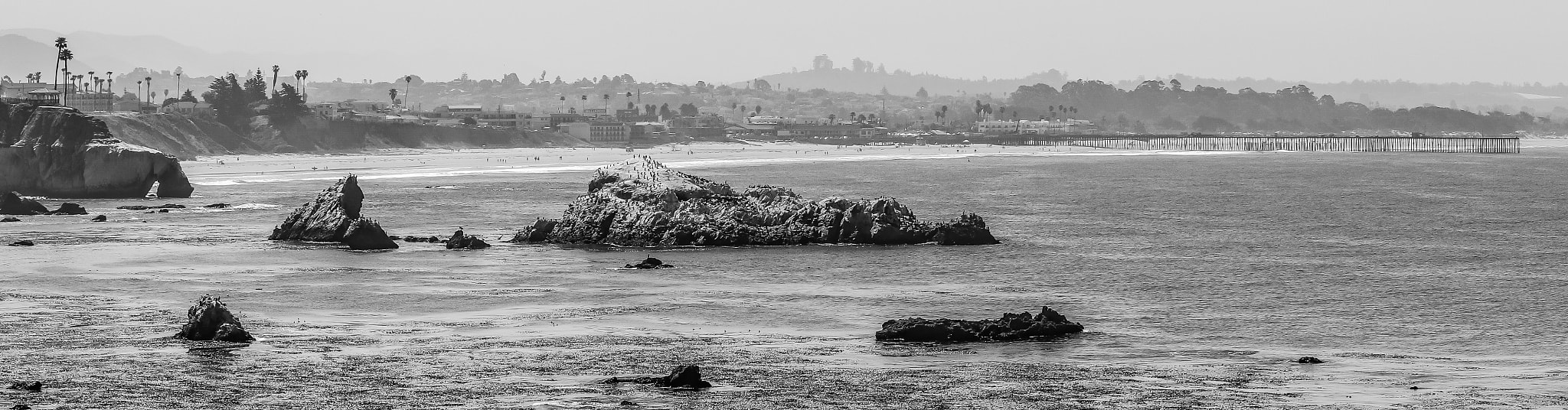 Canon EOS 800D (EOS Rebel T7i / EOS Kiss X9i) sample photo. Pismo pier photography