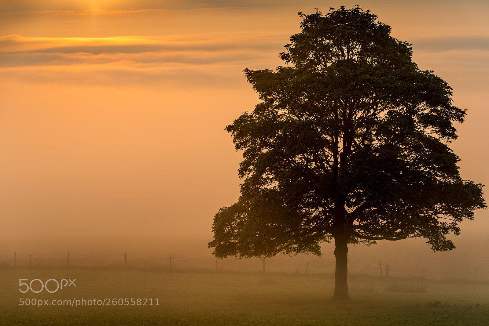 Nikon D750 sample photo. Countryside photography