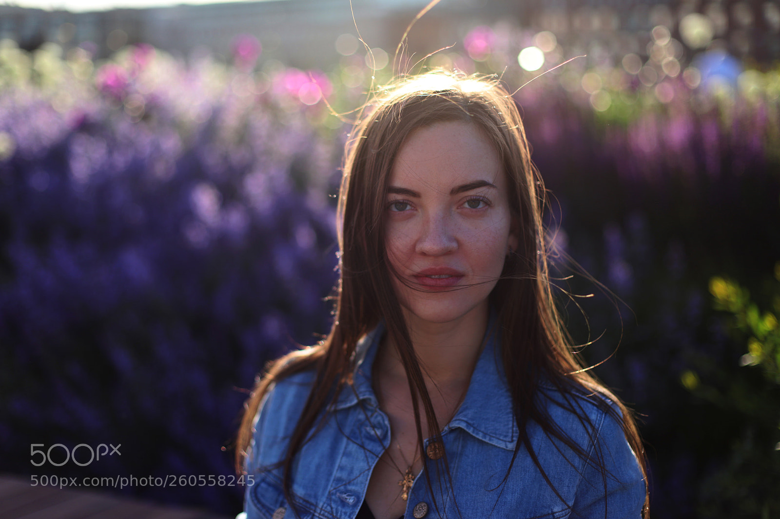 Canon EOS 6D Mark II sample photo. Sunny photography