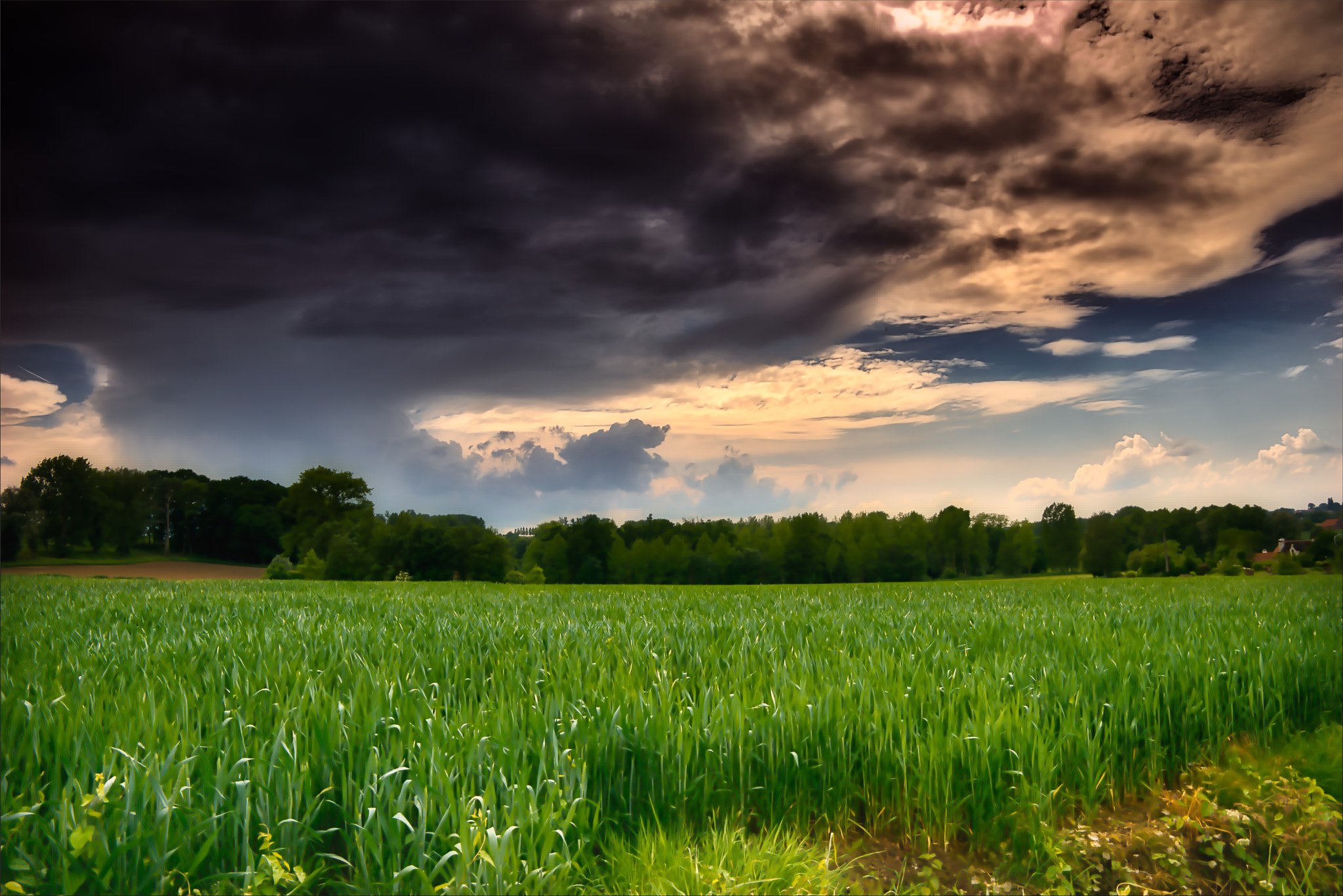 Sony a7R + Tamron SP 24-70mm F2.8 Di VC USD sample photo. Flemish ardennes photography