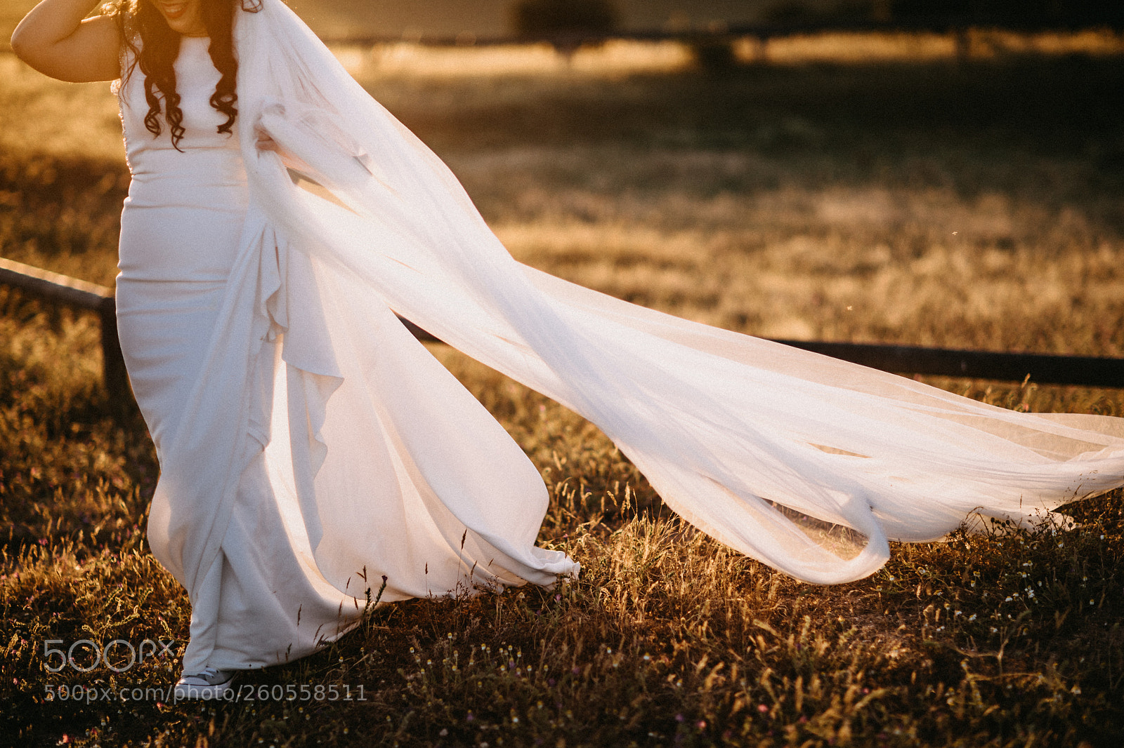 Canon EOS 5D Mark IV sample photo. Rebel veil photography