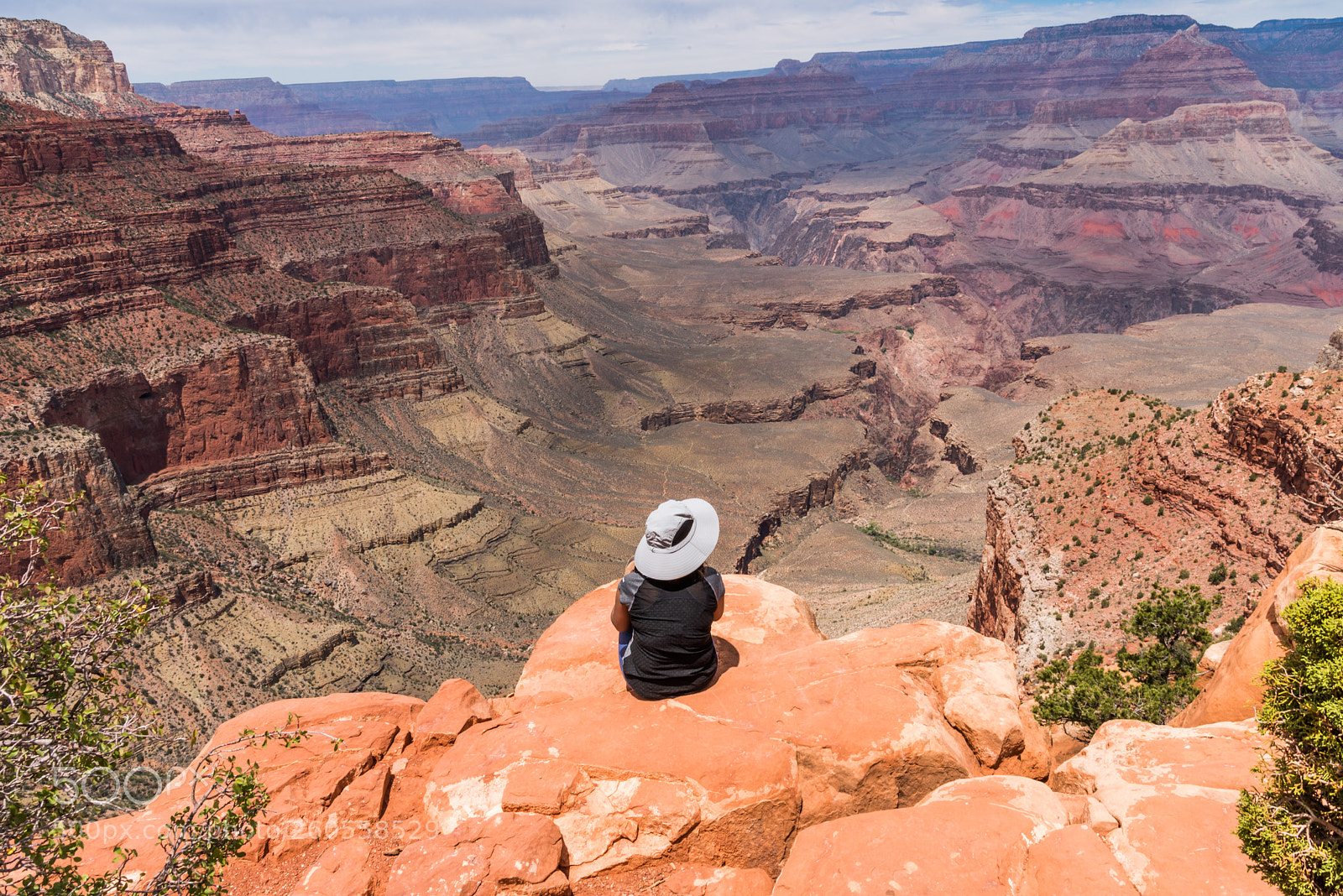Nikon D750 sample photo. The great grand canyon photography