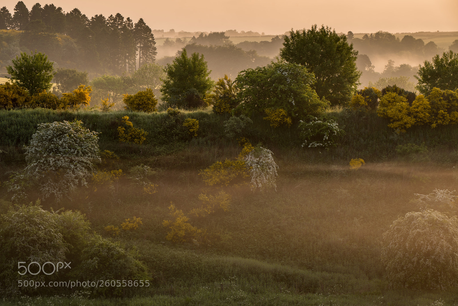 Nikon D750 sample photo. Countryside photography