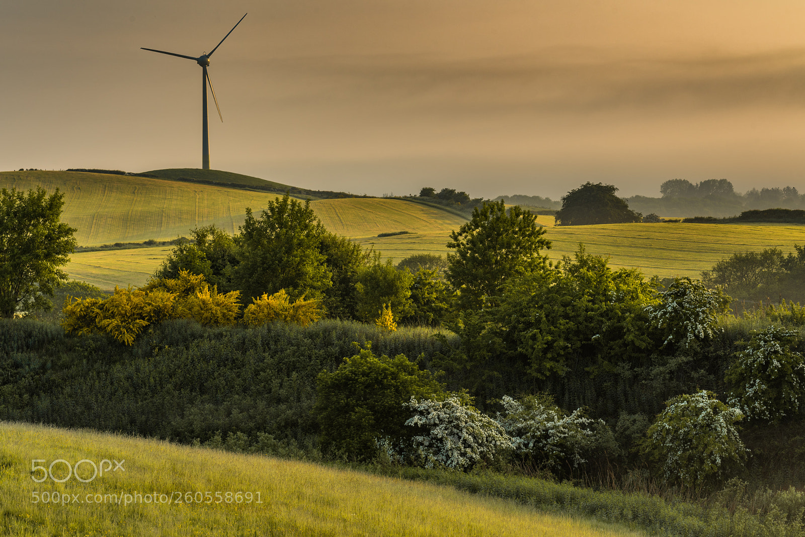Nikon D750 sample photo. Countryside photography