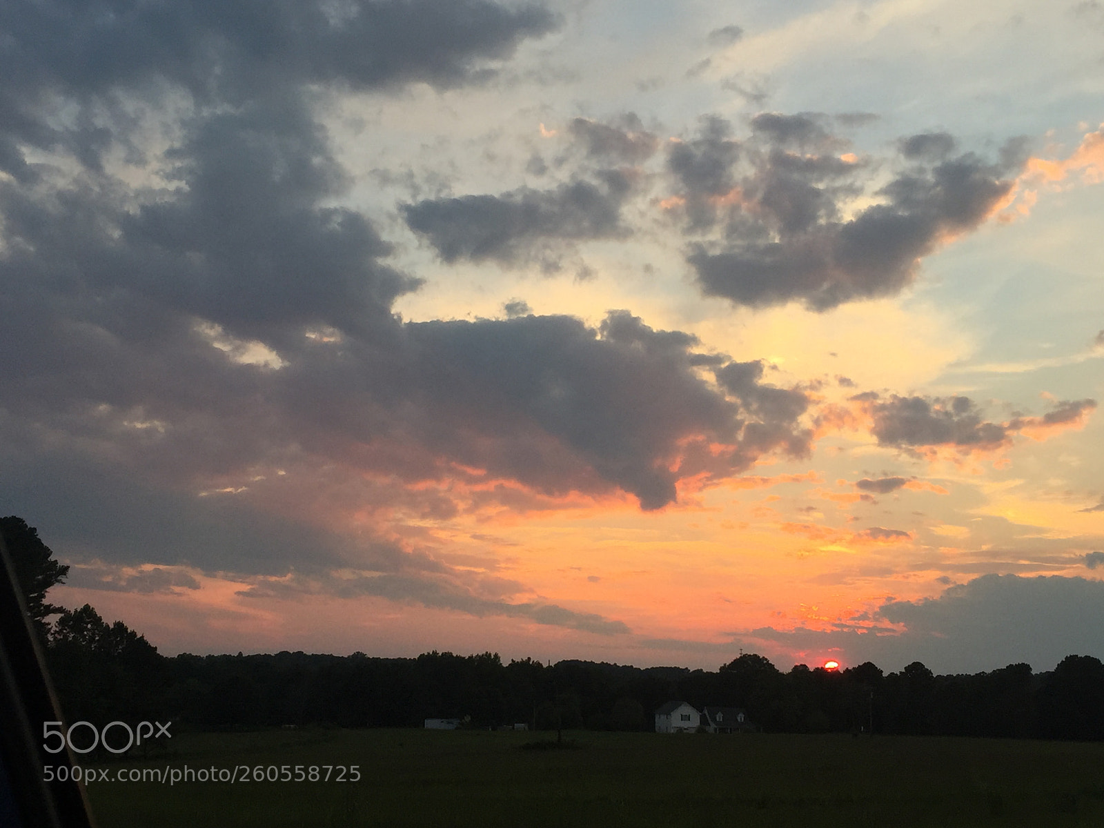 Apple iPhone 6 Plus sample photo. Bea bdceebb photography