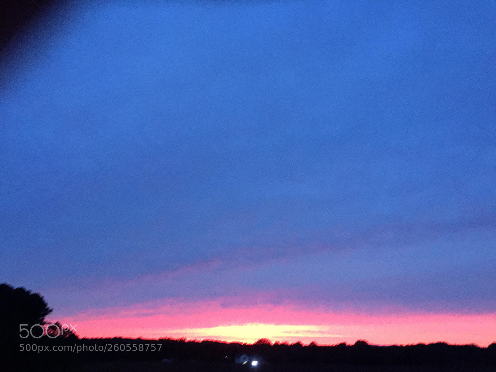 Apple iPhone 6 Plus sample photo. Dbafb photography