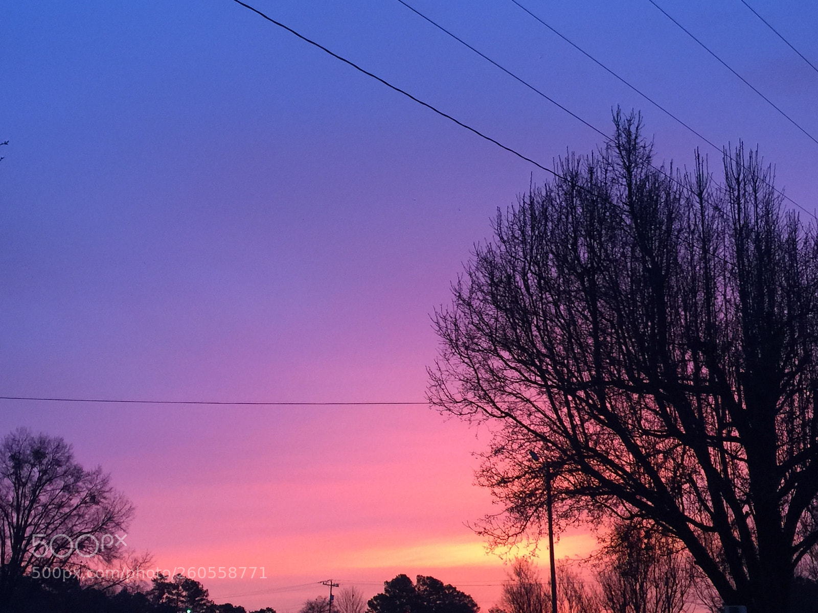 Apple iPhone 6 Plus sample photo. Bab acfeade photography
