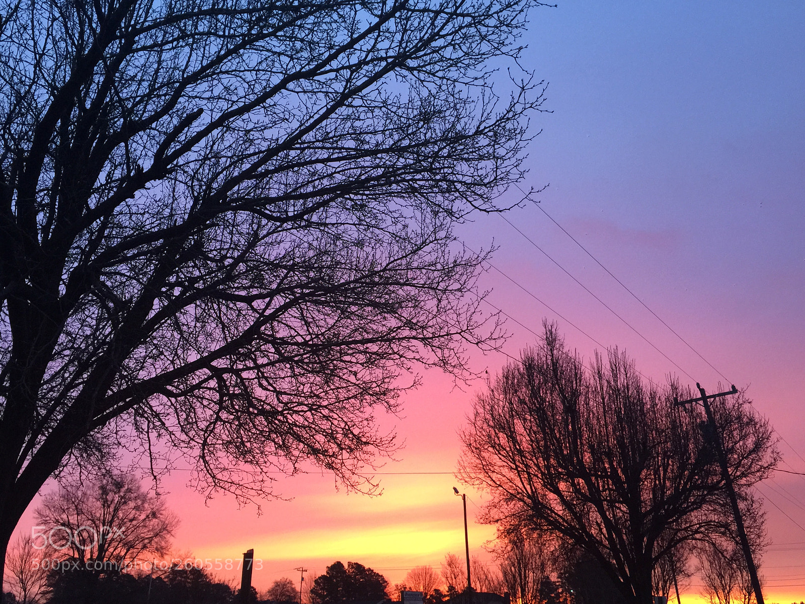 Apple iPhone 6 Plus sample photo. C bce becfe photography
