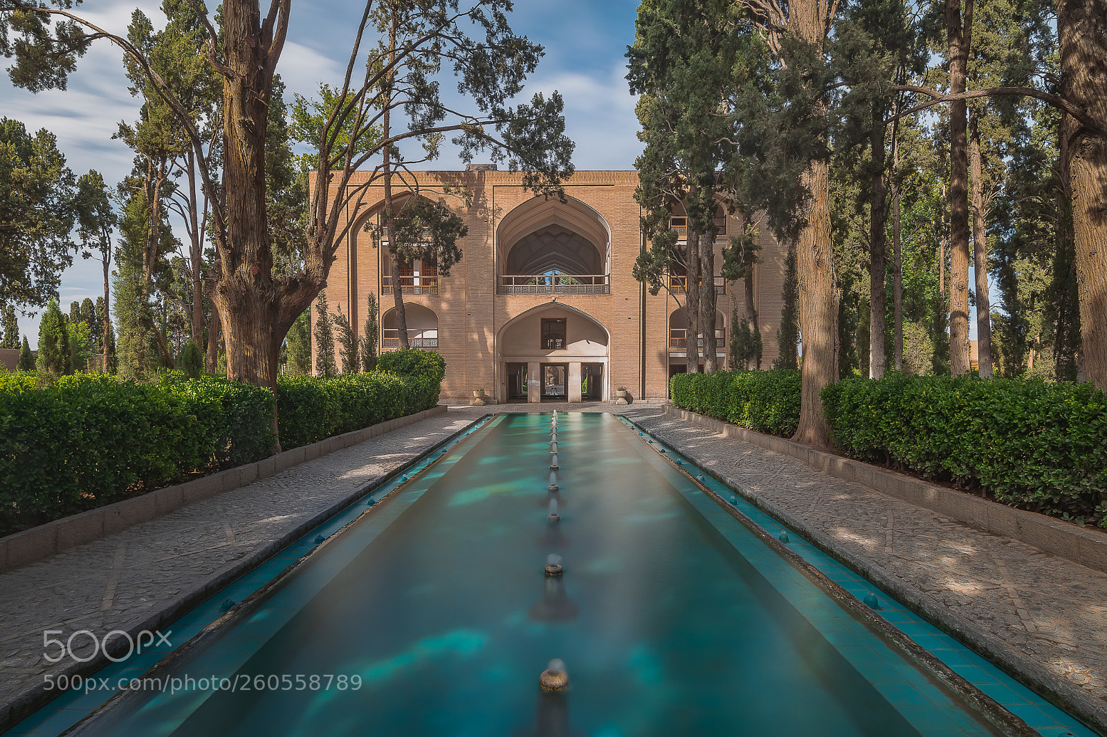 Nikon D7200 sample photo. Fin garden photography