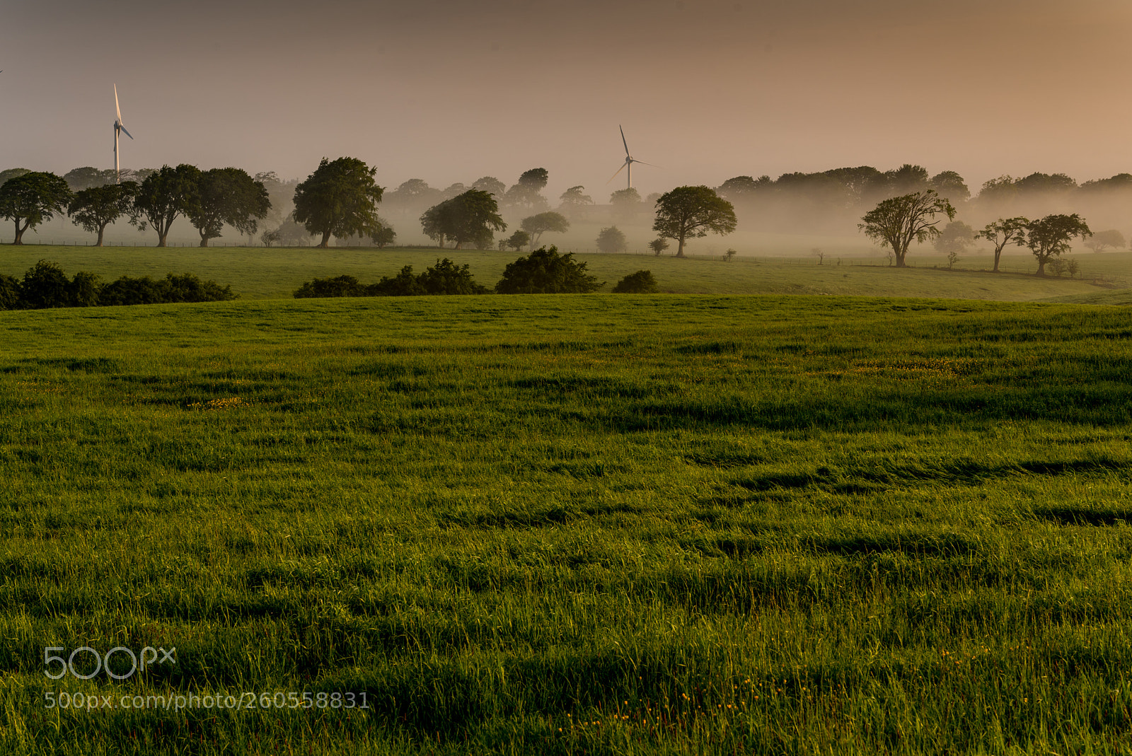 Nikon D750 sample photo. Countryside photography