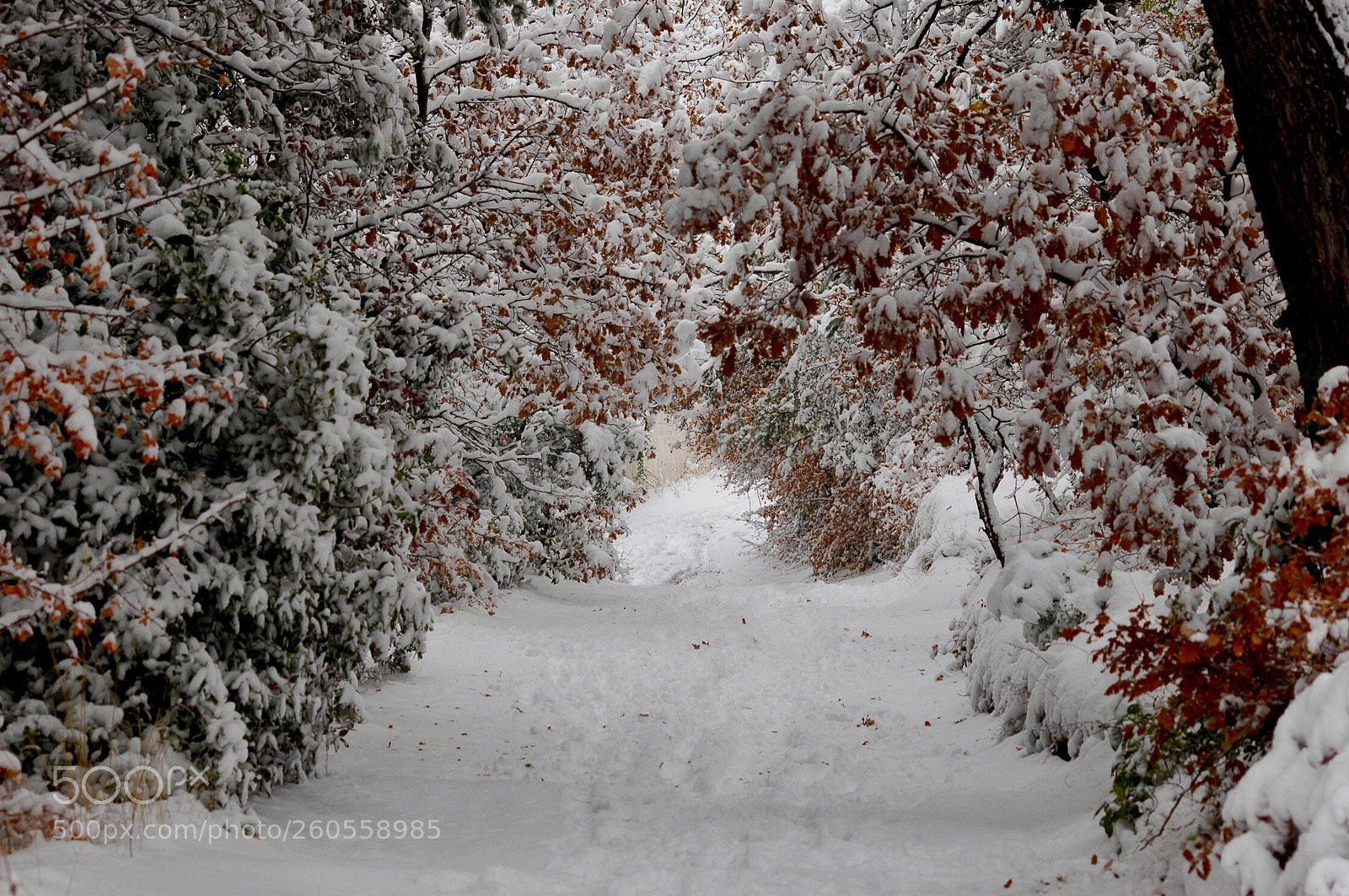 Nikon D70 sample photo. Le calme avant la photography