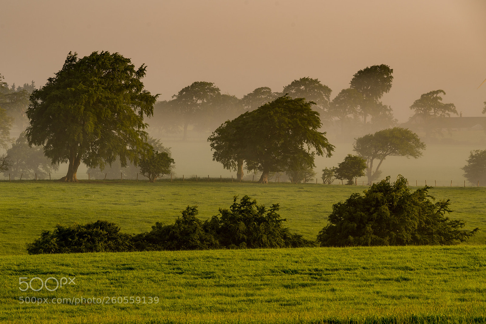 Nikon D750 sample photo. Countryside photography