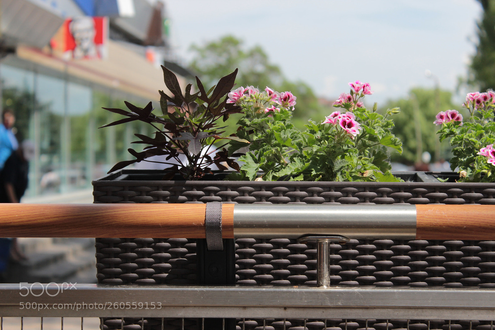 Canon EOS 600D (Rebel EOS T3i / EOS Kiss X5) sample photo. Flowers in street cafe photography