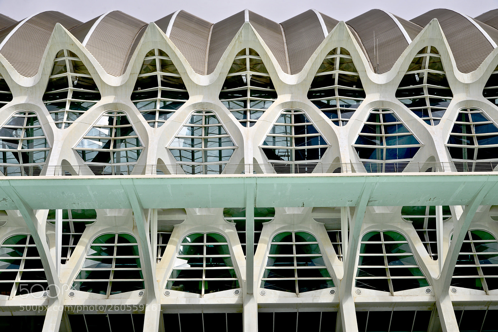 Nikon D610 sample photo. Geometry ii photography