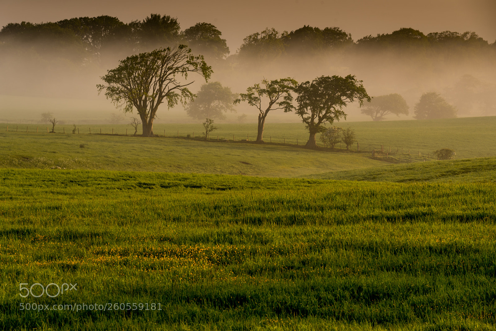 Nikon D750 sample photo. Countryside photography
