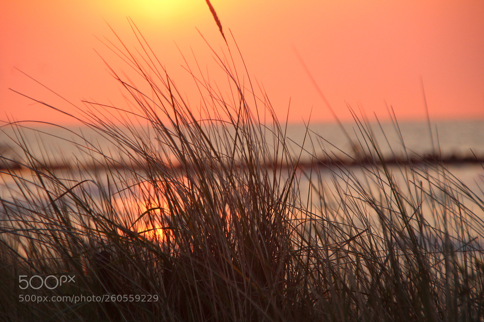 Canon EOS 600D (Rebel EOS T3i / EOS Kiss X5) sample photo. Walking at the beach photography