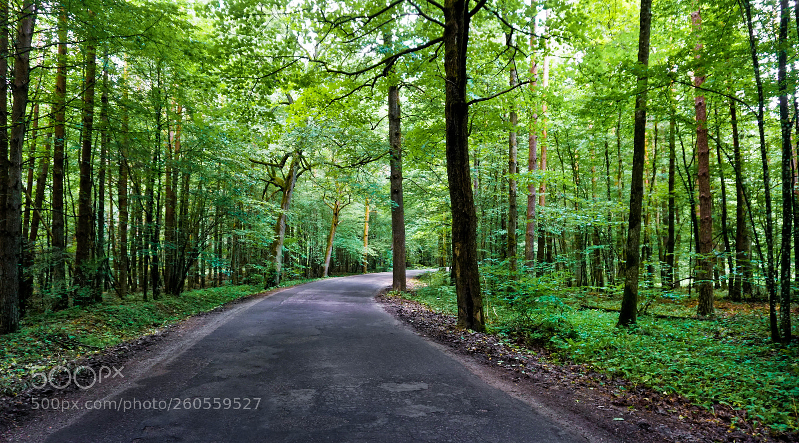 Sony a6000 sample photo. Road in warmia photography