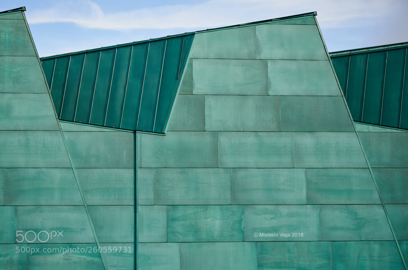 Nikon D600 sample photo. Green wall photography
