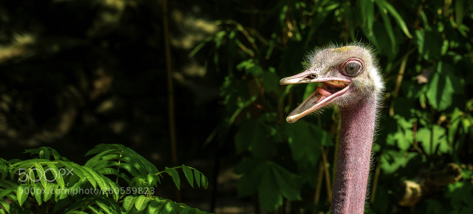 Nikon D810 sample photo. Hello again.... photography
