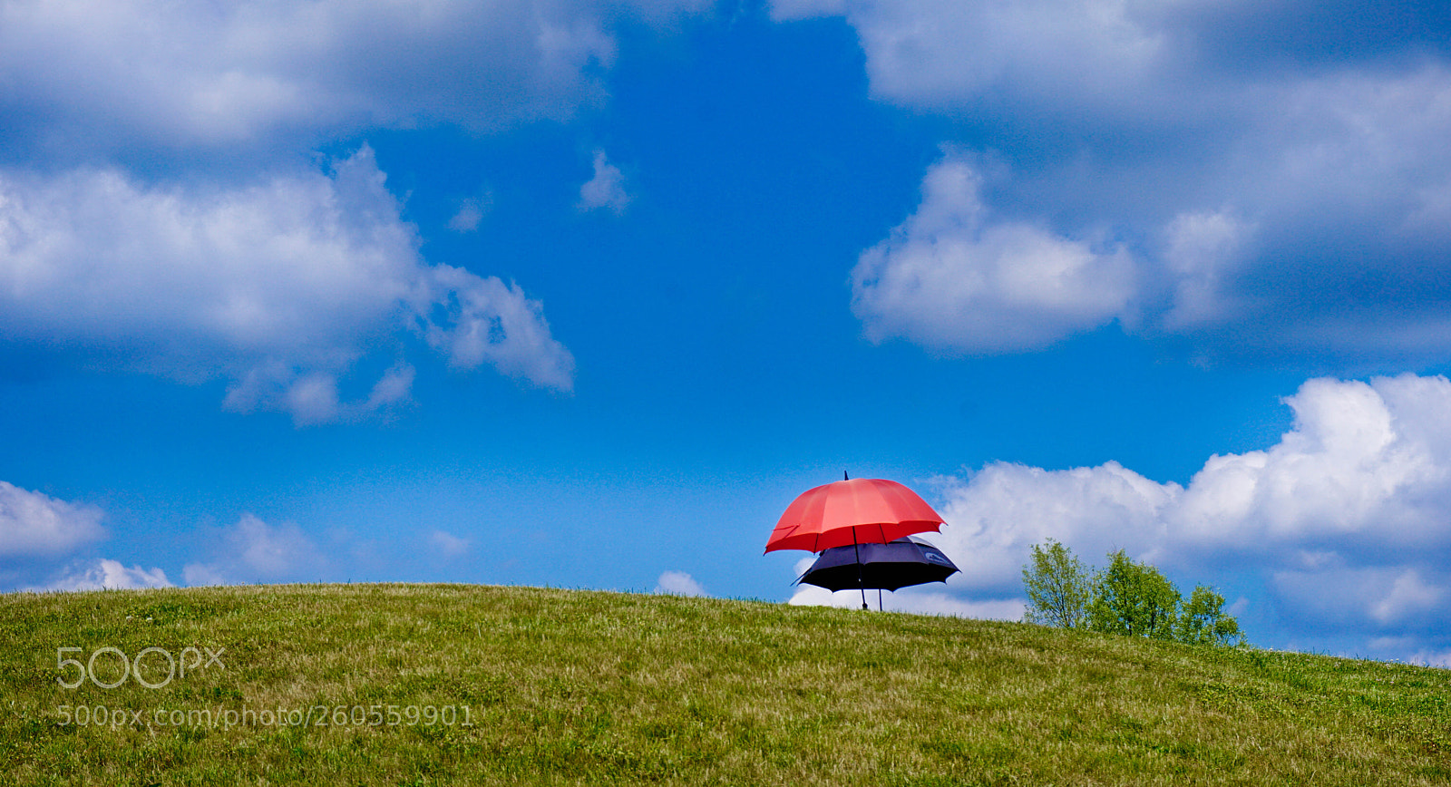 Sony a6000 sample photo. Golf mazury photography