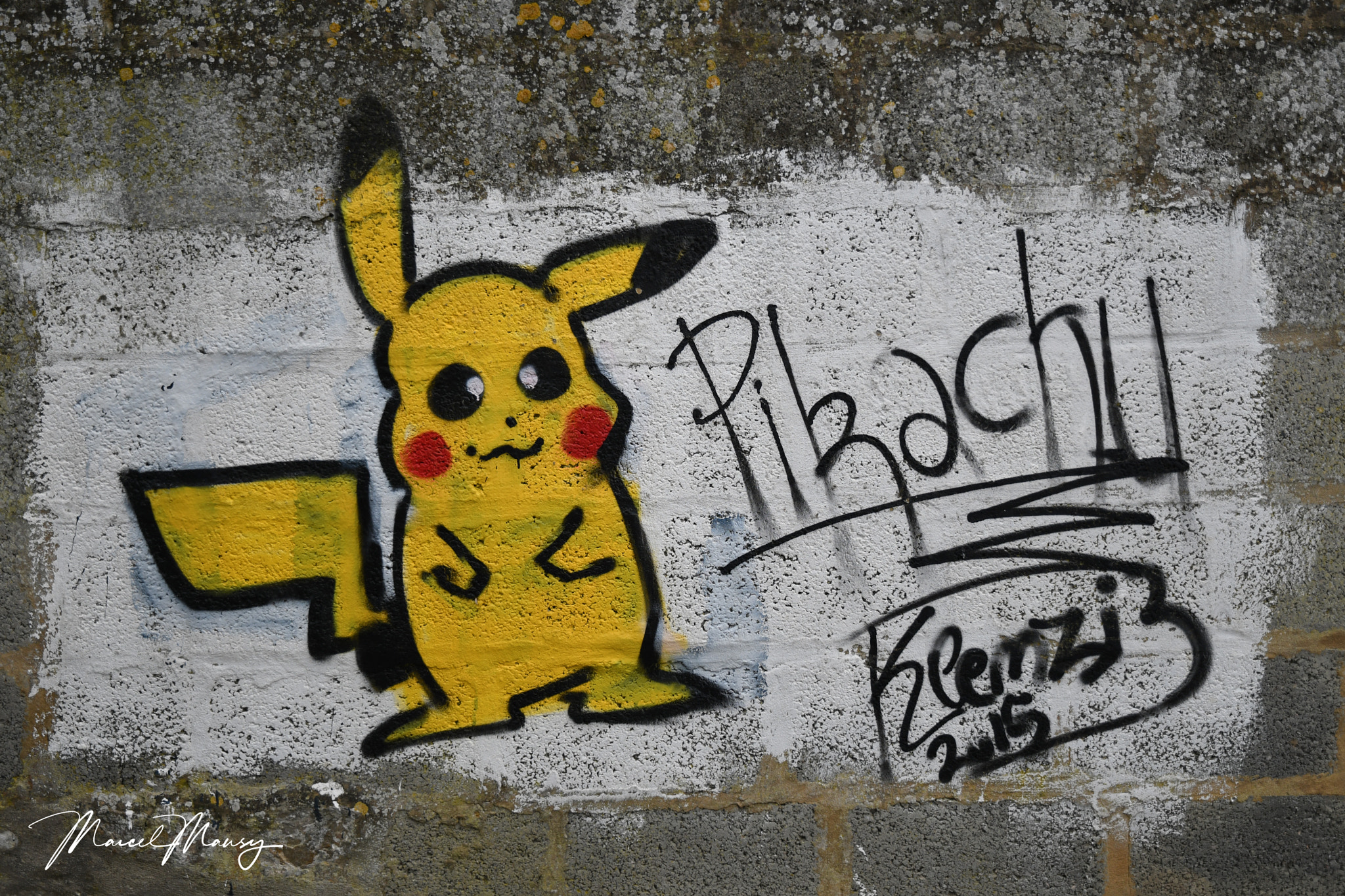 Nikon D500 sample photo. Pikachou photography